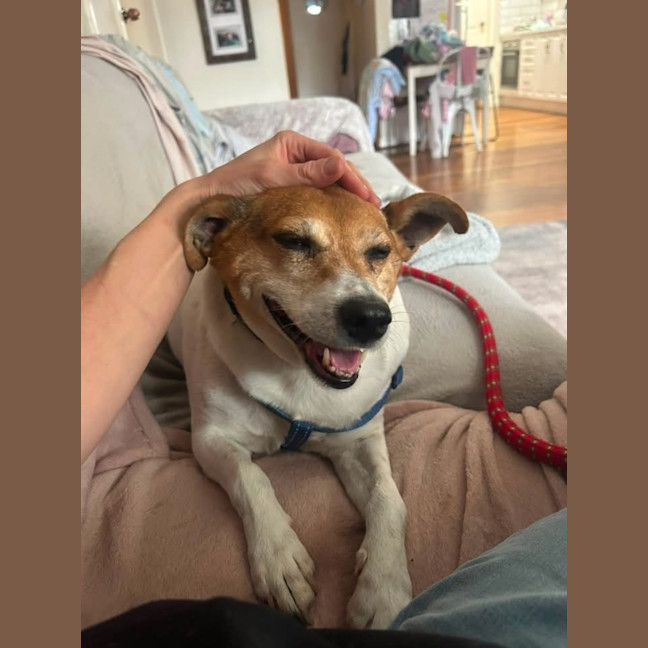 Photo of Max 