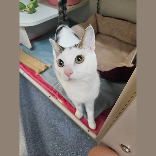 Photo of Lulu