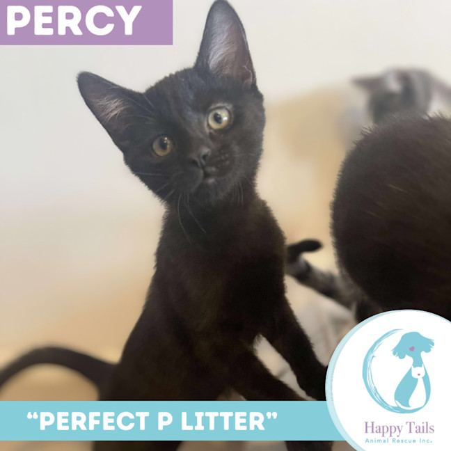 Photo of Percy