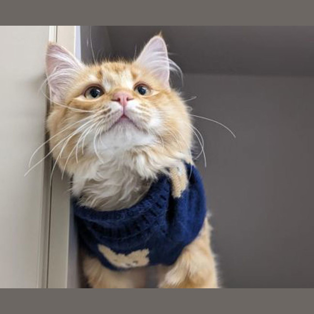 Photo of Raymond