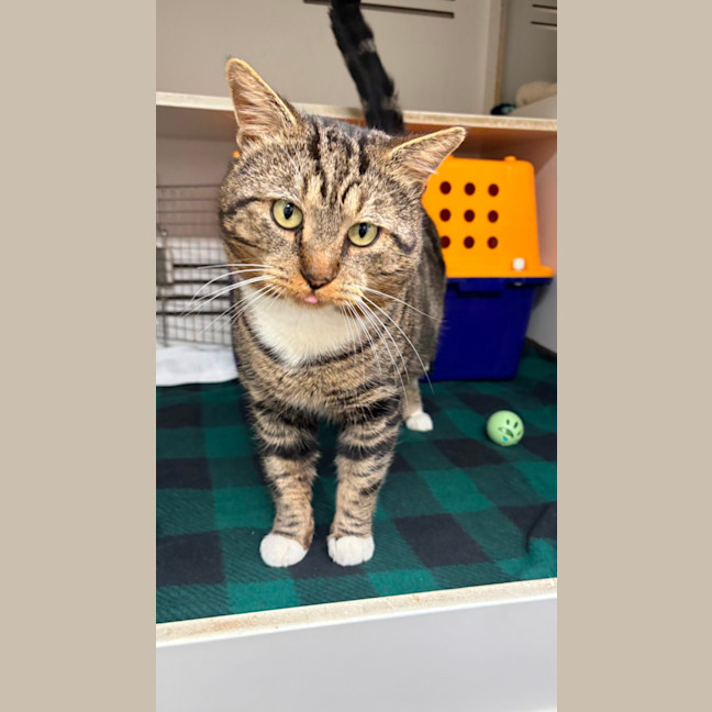 Photo of Percy
