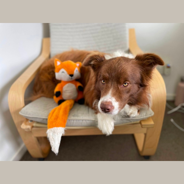 Photo of Mars Bar Slice