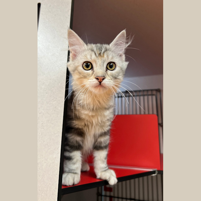 Photo of Mia