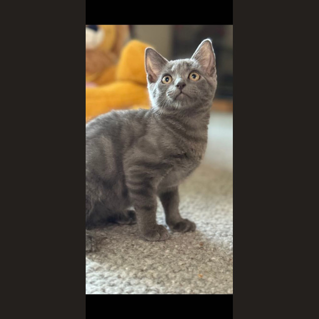 Photo of Titten Meet Me@Petstock Mornington Store Nepean Hwy