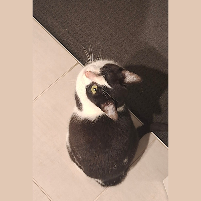 Photo of Coraline 