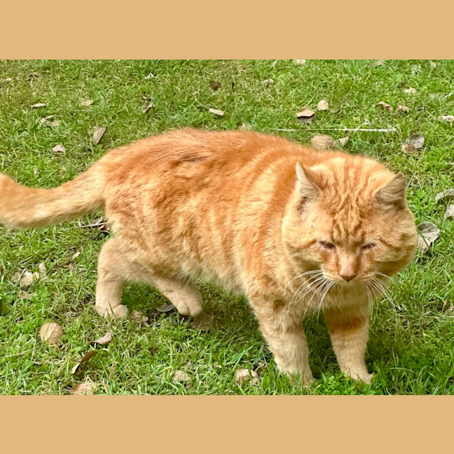 Photo of Ted
