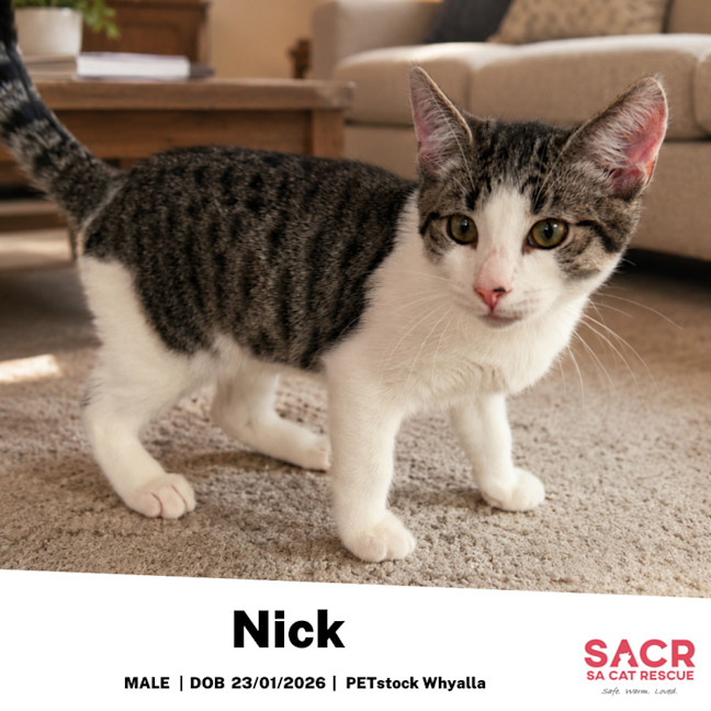 Photo of Nick