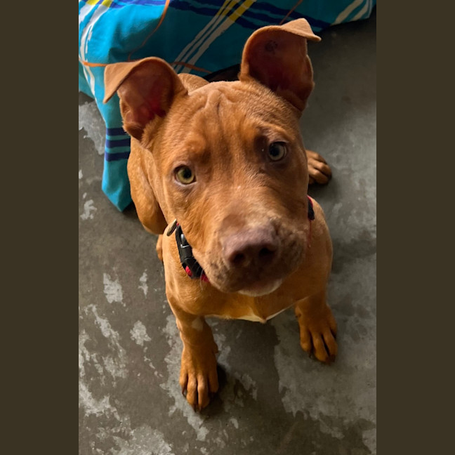 Photo of Kingston