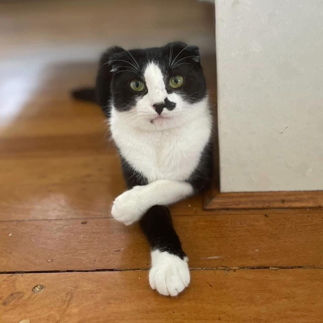 Photo of 11625   Amelia