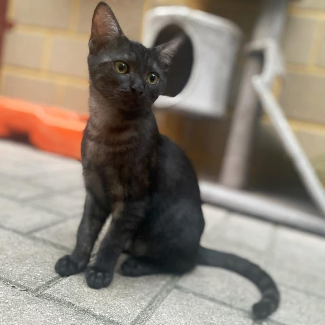 Photo of 11533   Bach