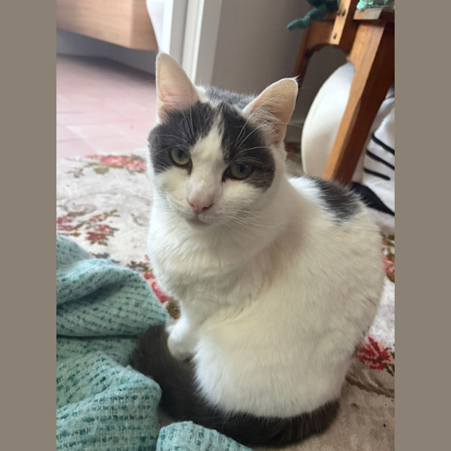 Photo of Kiki