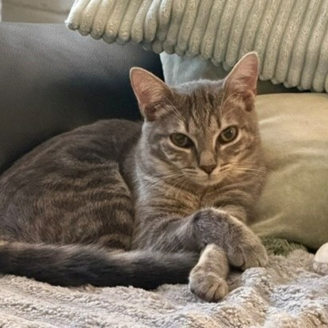 Photo of Hazel