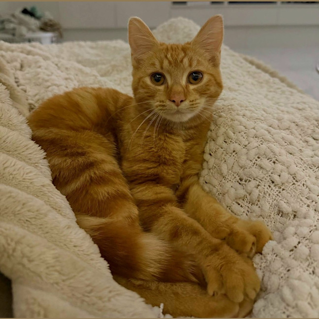 Photo of Jack