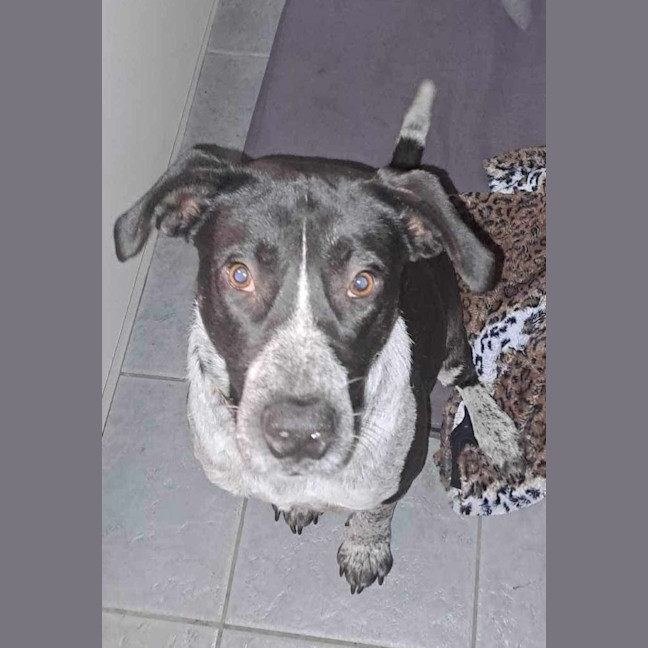 Photo of Tess Tickles