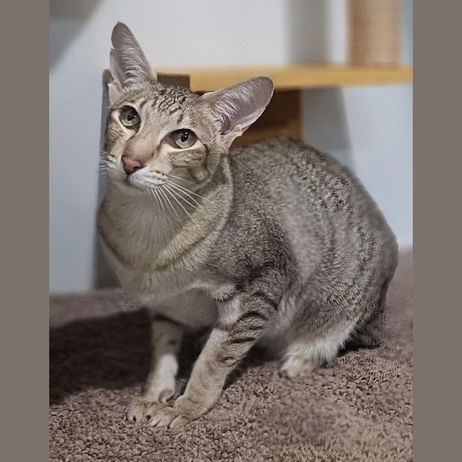 Photo of Elsie
