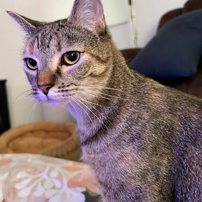 Photo of Phoebe