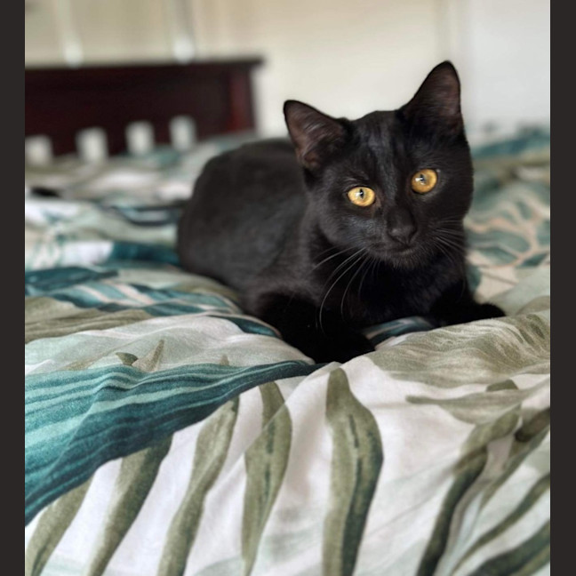 Photo of Stormie 🖤