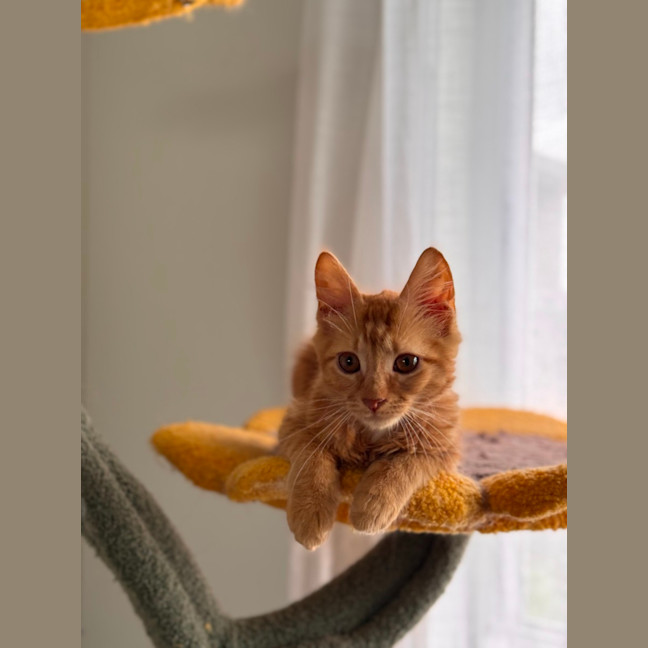 Photo of Zeus