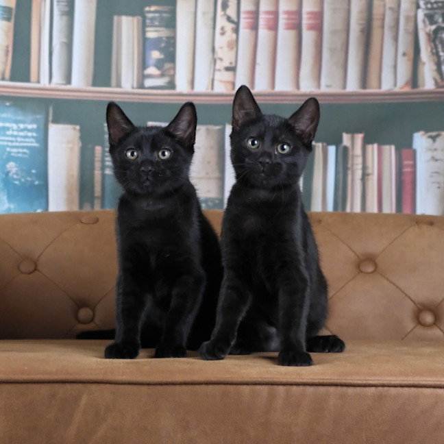 Photo of The Riddler