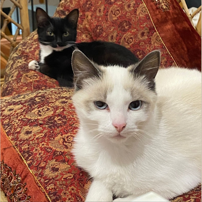 Photo of Zuko & Azula