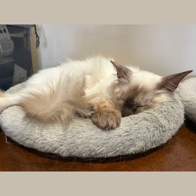 Photo of Sid And Nancy