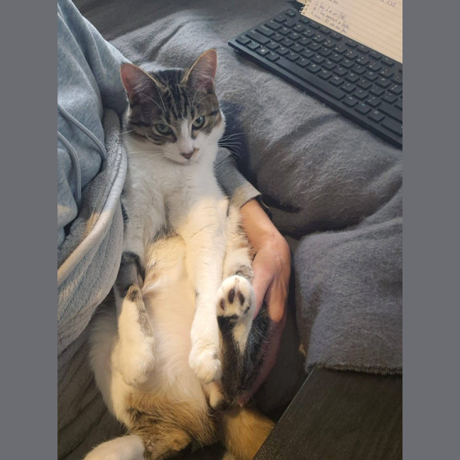 Photo of Flip