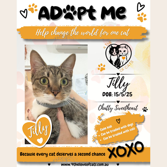 Photo of Tilly