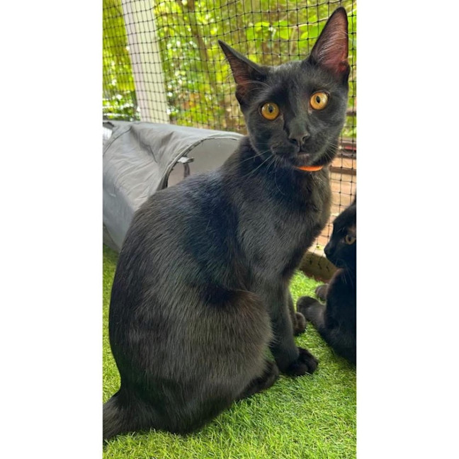 Photo of 11995   Maxy