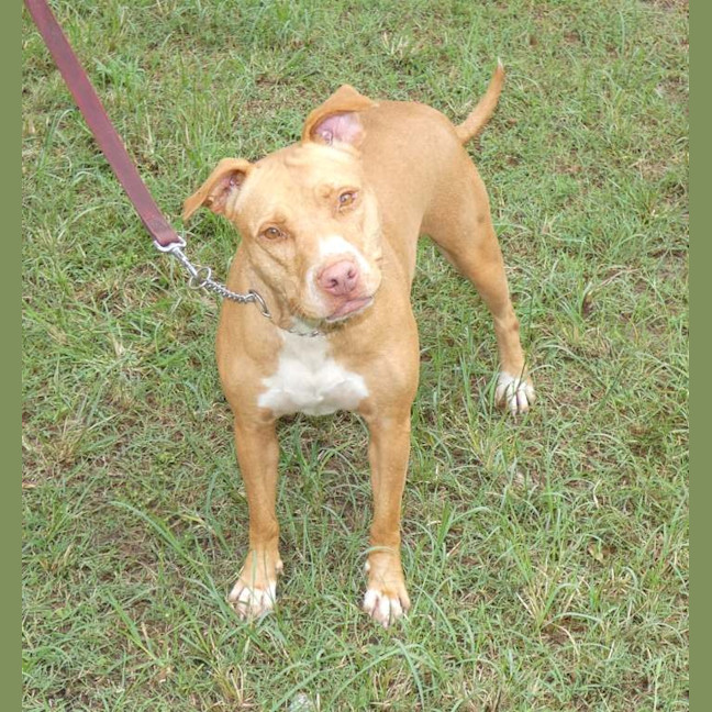 Photo of Coco