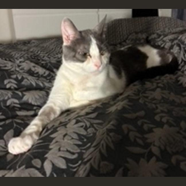 Photo of Fred