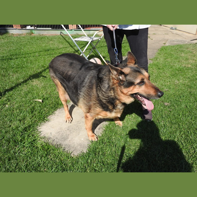 Photo of Duke