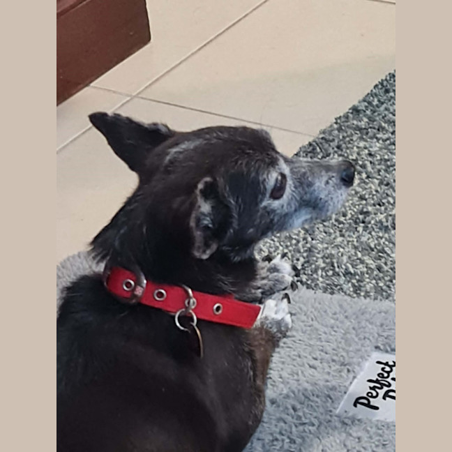 Photo of Minnie