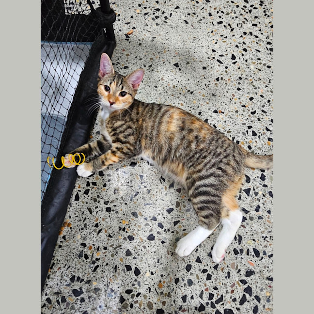 Photo of Pretty Girl