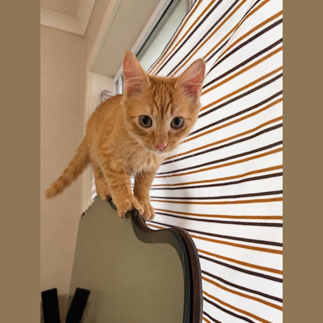 Photo of Oakley 