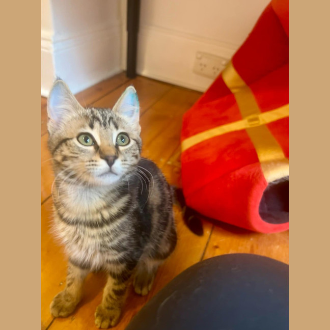 Photo of Winnie