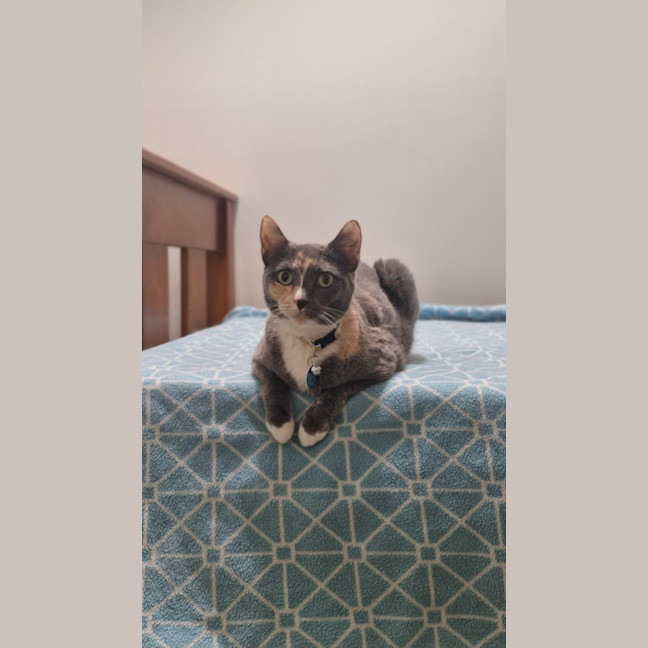 Photo of Cali
