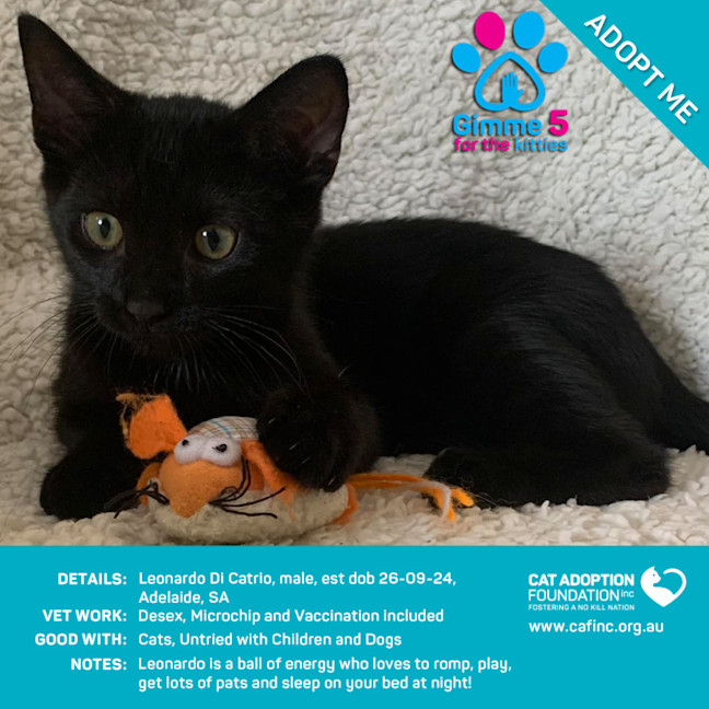 Photo of Leonardo Di Catrio