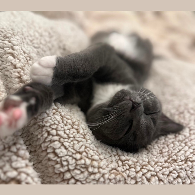 Photo of Hazel And Violet 