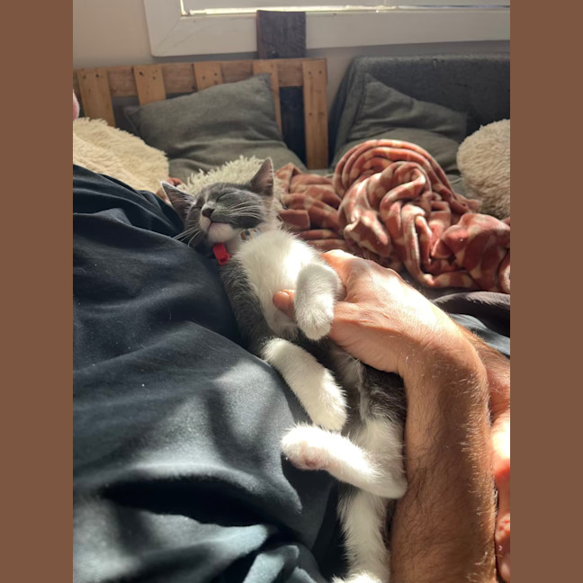 Photo of Riot