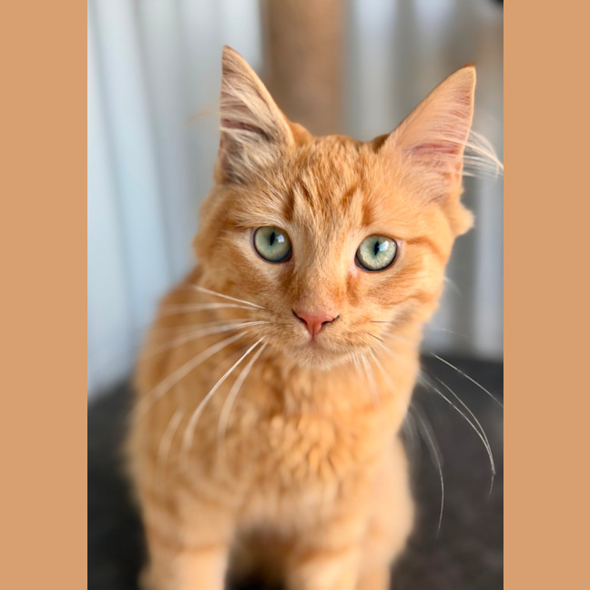 Photo of Parker