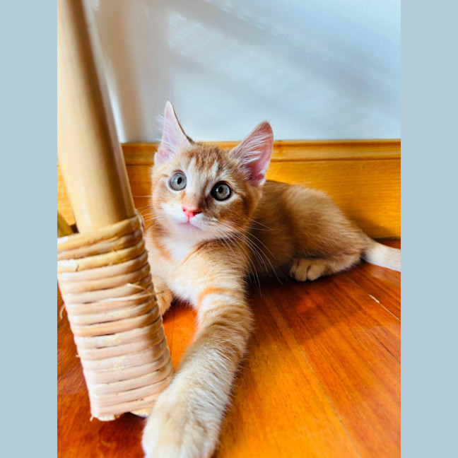 Photo of Barry