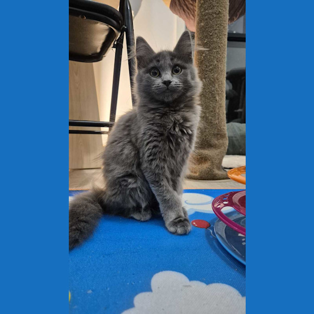Photo of Clea 🌻