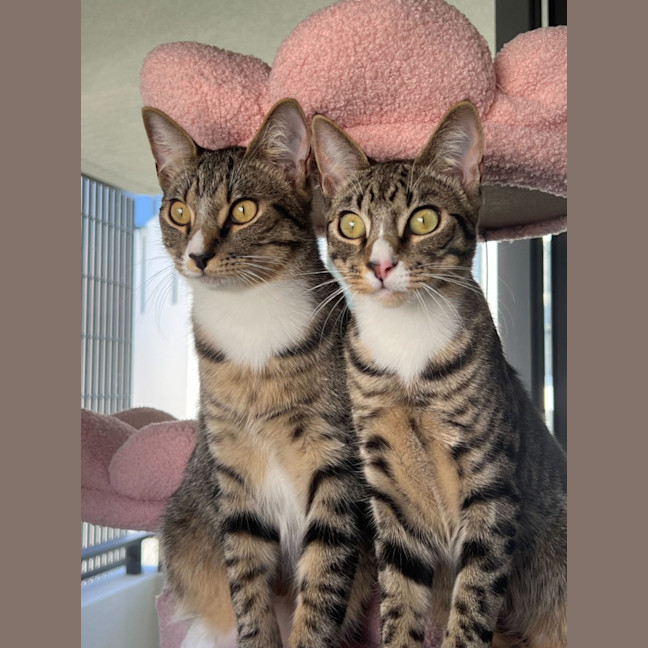 Photo of Conrad & Jeremiah