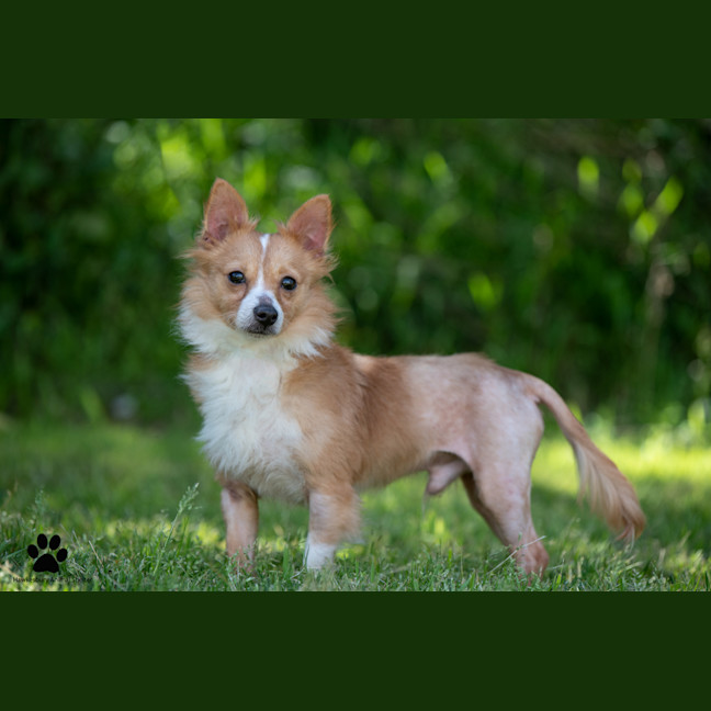 Photo of Leon