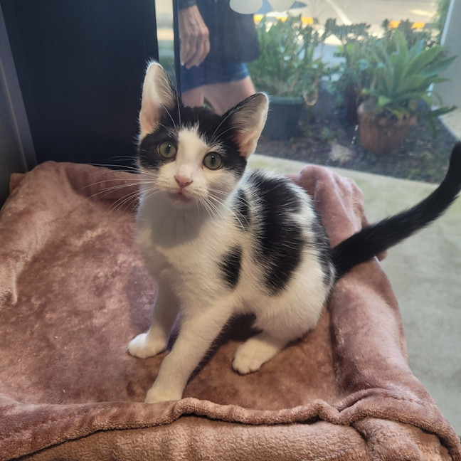 Photo of Esmeralda Joy