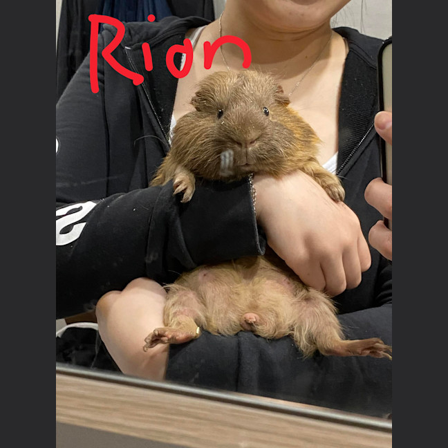 Photo of Rion & Paxton