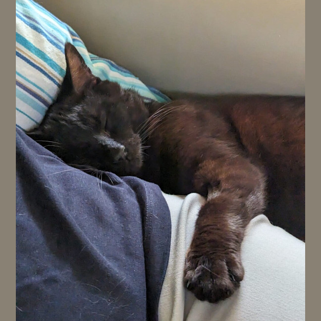 Photo of Elwood