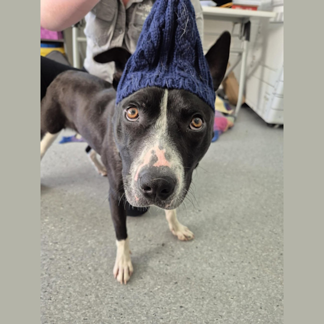 Photo of Kenny! 🤍🖤