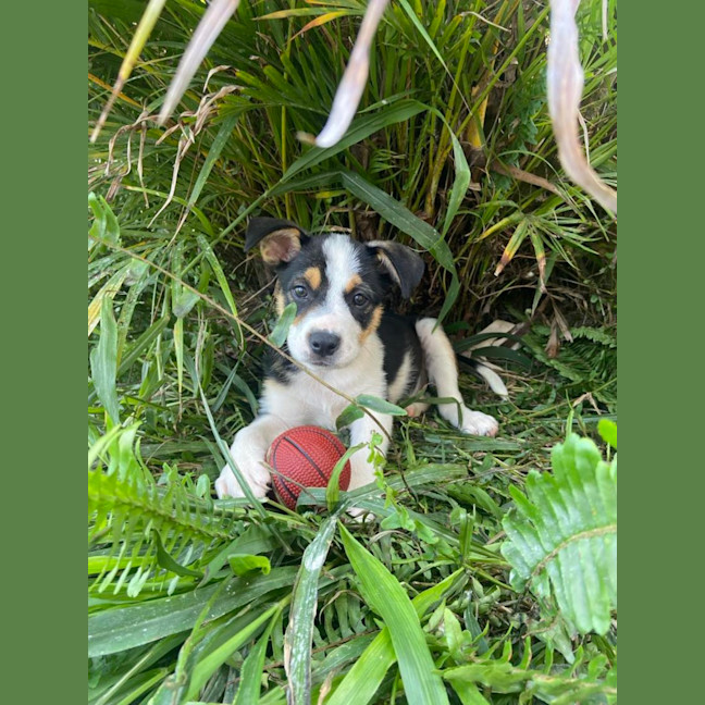 Photo of Frida
