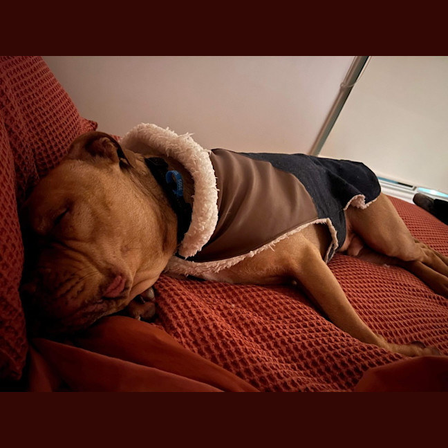 Photo of Sampson